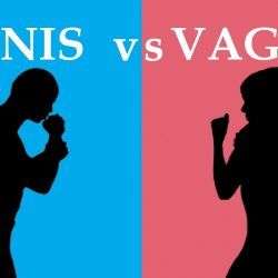 penis vs vagina